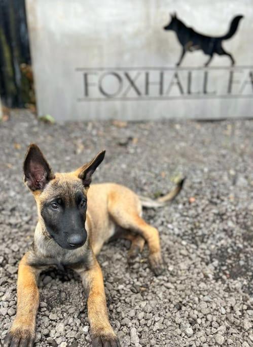 Foxhall Farm サースク エクステリア 写真