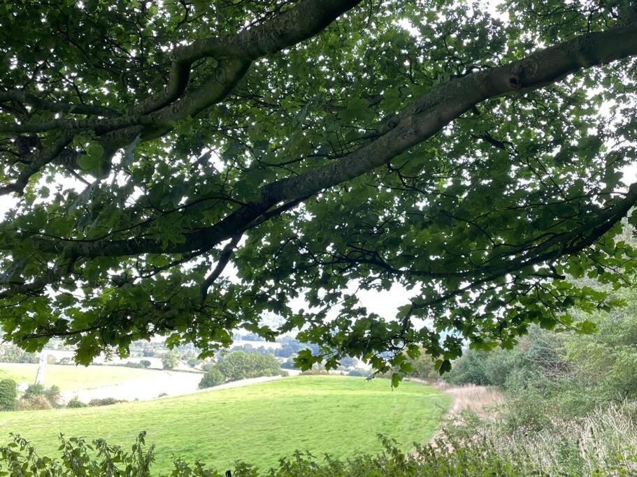 Foxhall Farm サースク エクステリア 写真