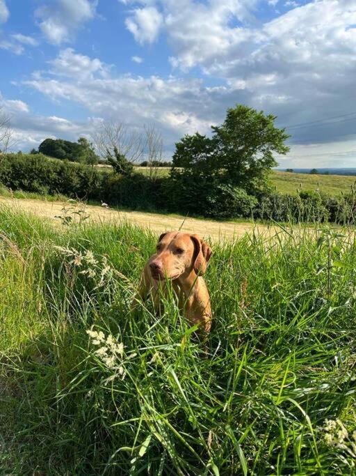 Foxhall Farm サースク エクステリア 写真