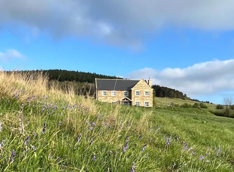 Foxhall Farm サースク エクステリア 写真